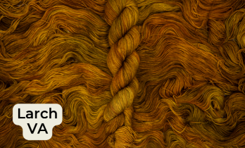 Made by Hailey Bailey Classic DK Larch
