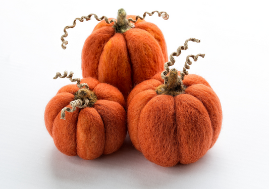 Promotional picture for Stringfield Yarn Collective with felted pumpkins.